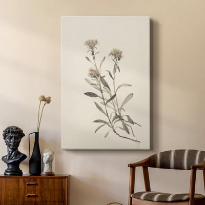 Vintage Floral Print CXCIX -Custom Wrapped Gallery Cavas