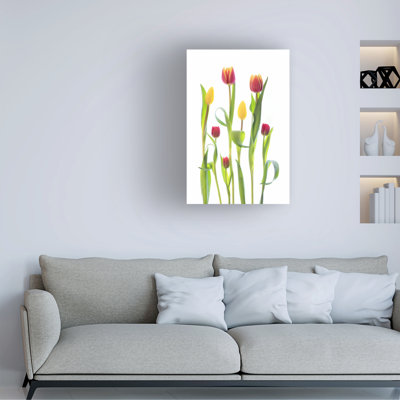 Tulipes sur toile