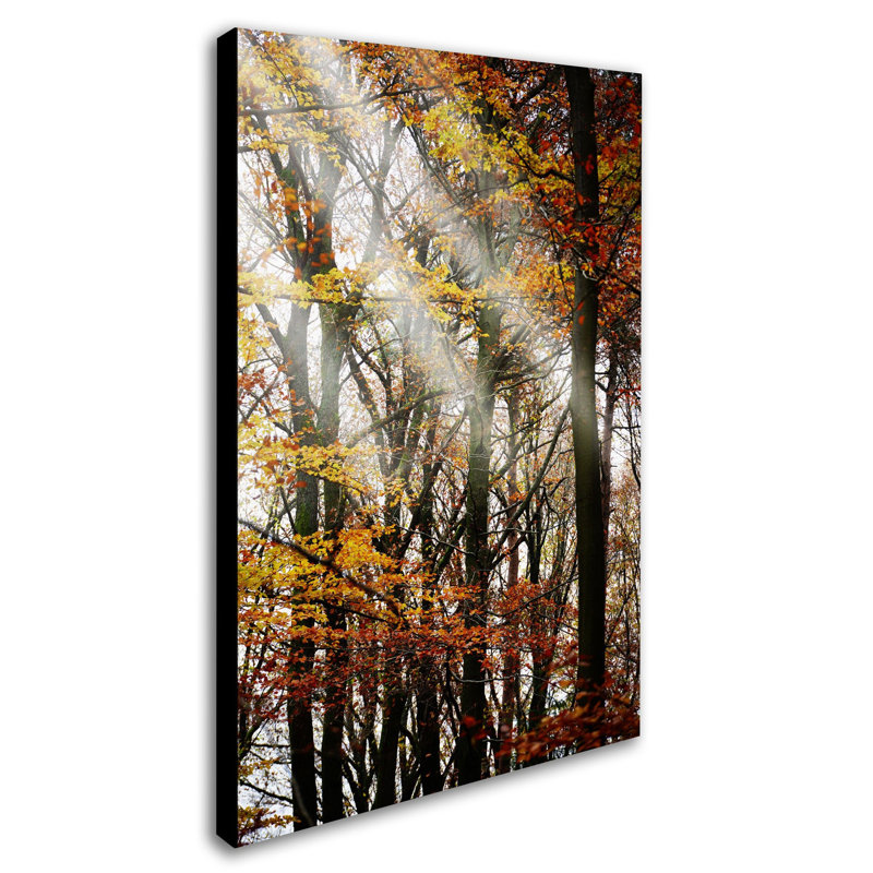 « just the light », reproduction de photo sur toile tendue encadrée, H 24 po x l 16 po x P 2 po