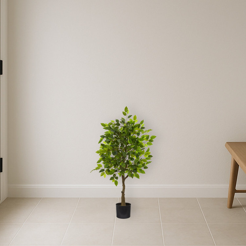 Ficus Artificial Tree