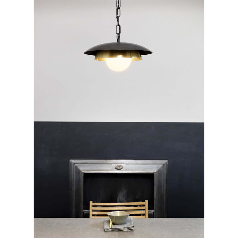 Carapace 1 - Light Pendant