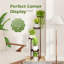 Support de plante d'angle pour pots multiples - Maximisez votre espace intérieur et extérieur - Brun mat-424754707