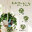 3-Pack Macrame Plant Hangers Indoor with Chain — Self-Watering Hanging Planters w/Drainage Holes & Removable Saucer, White (11/9/8 in) — Ideal Plant Hanger for Hanging Plant displays-1062203176