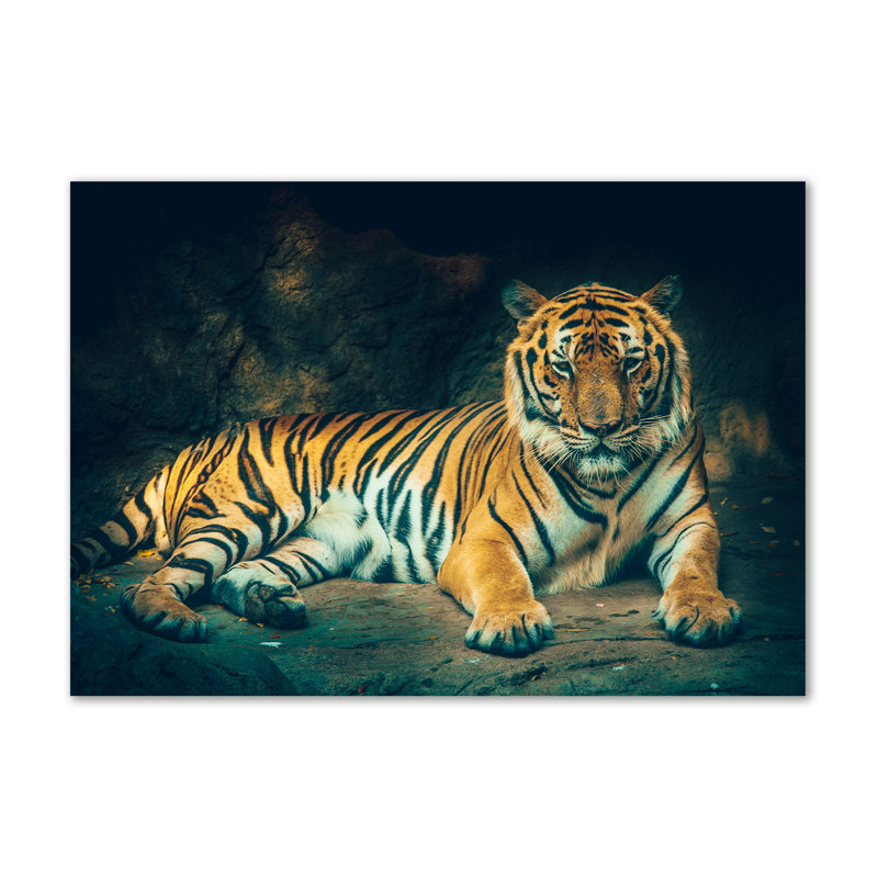 A Tiger In A Cave - Wrapped Canvas Print