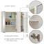 Aadhith Wall Mounted Required Bathroom Cabinet
