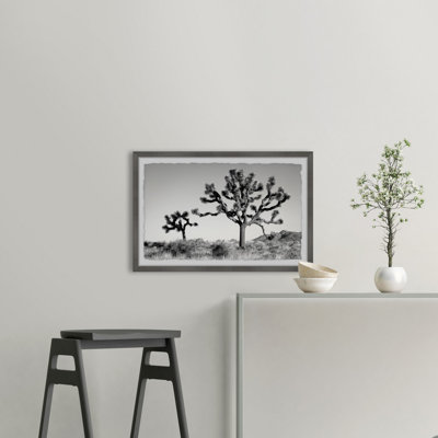 Mountain Top Trees - Single Picture Frame Print