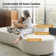 Nerio Modern 94" Compressed High-density Foam Sofa With 2 Pillow and No Assembly Needed