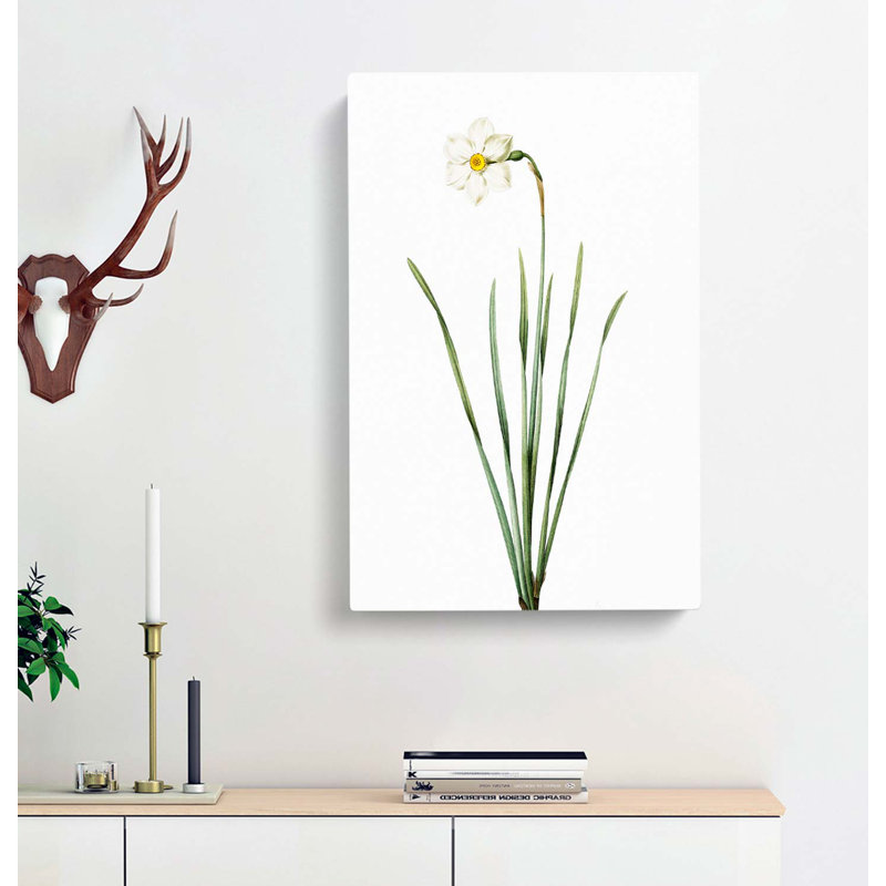 Poeticus Daffodil by Pierre-Joseph Redoute - Wrapped Canvas, 76cm H x 50cm W x 3cm D