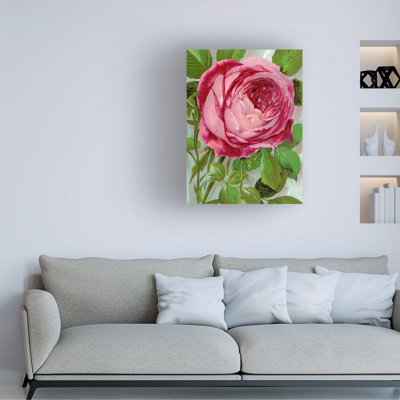 Bolog Botanical Specimen Rochester Pink Rose, Mrs John Laing Lithograph Canvas Art