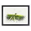Path to a Lone Tree in Abstract - Picture Frame Graphic Art Print-55737132-55737141