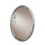 Leaf Traditional Beveled Accent Mirror-71638471