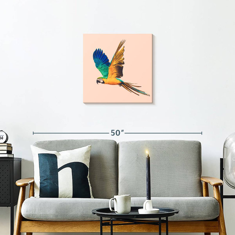 Brampt Macaw Parrot Flying, 20" H x 20" W