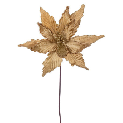 Cliffo Poinsettia Arrangement