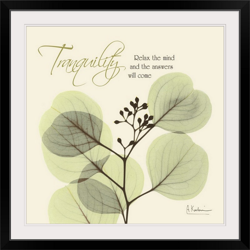 Manigault 'Tranquility Eucalyptus X-Ray by Kiranjit Photographic Print, 32" H x 32" W x 1" D, Black Framed