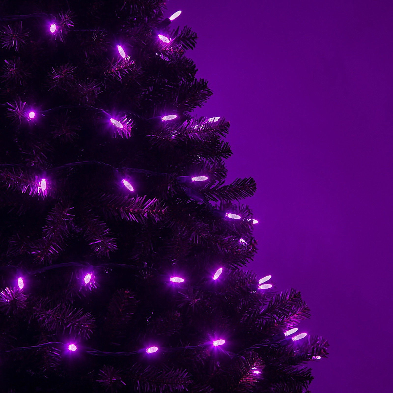 24' 70-Light LED Christmas String Lights, Purple