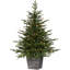 4' H Lighted Artificial Fir Christmas Tree