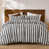 Black/Gray Striped est en rupture de stock