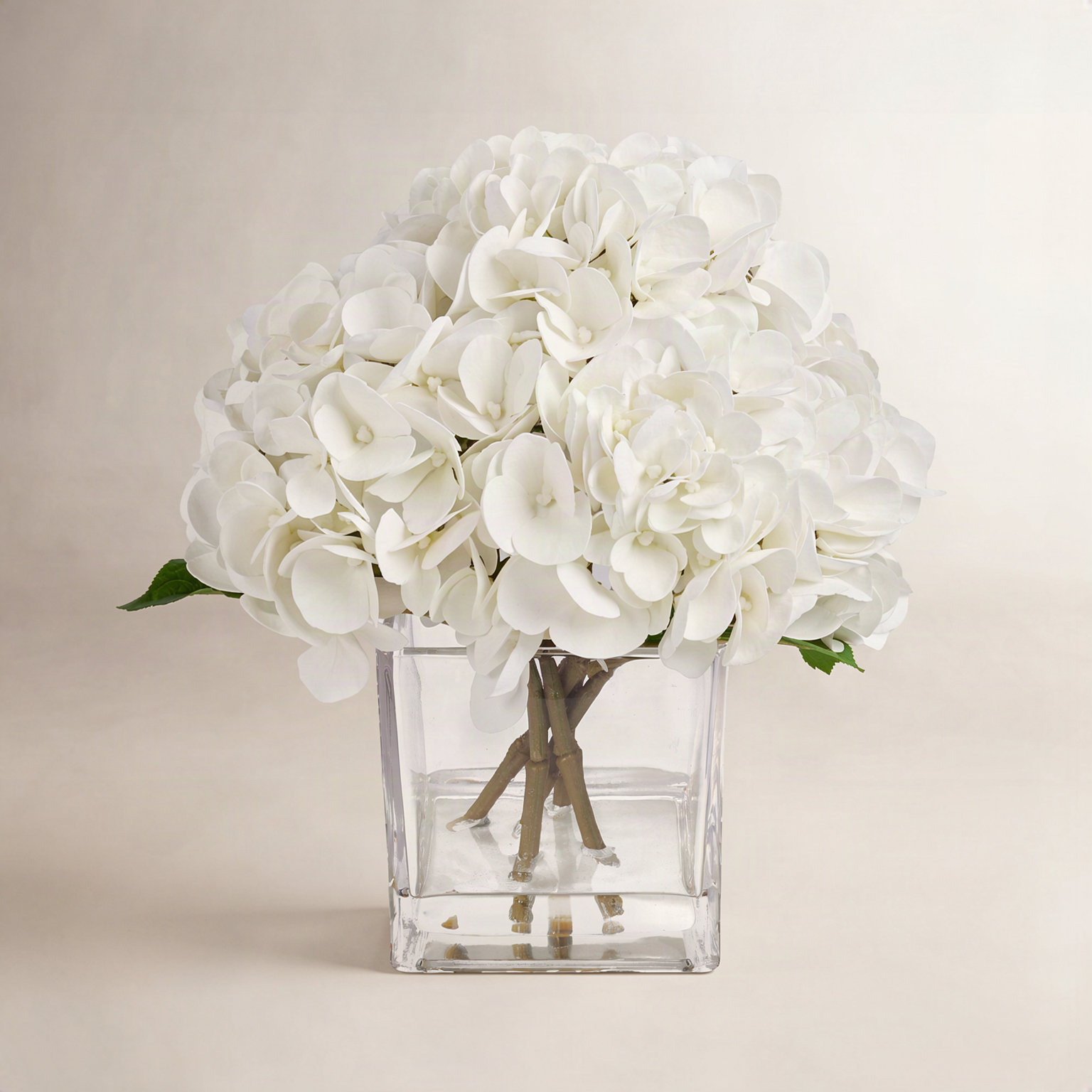 Hydrangea Floral Arrangement
