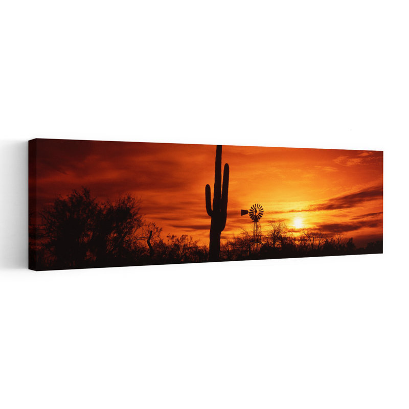 États-Unis, Arizona, désert de Sonora, coucher de soleil abstrait contemporain, paysage de cactus, art mural