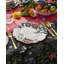 Creatures of Curiosity 12 Piece Dinnerware Set, Service for 4