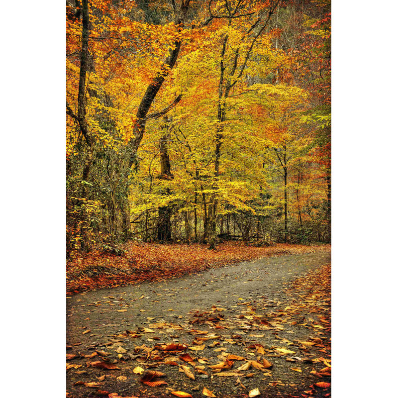 Chemin à travers l'automne, H 18 po x l 12 po