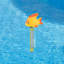 Thermomètre de piscine flottant 9,25 "Goldfish