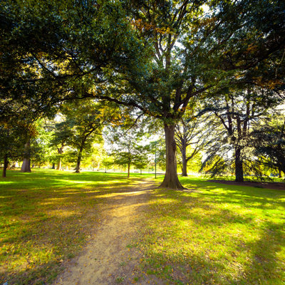 Piedmont Park In Atlanta - Wrapped Canvas Print