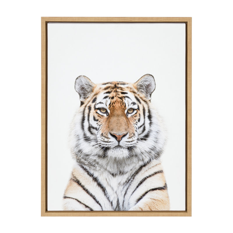 Tiger Portrait by Amy Peterson Framed Canvas Wall Art Print, Brown