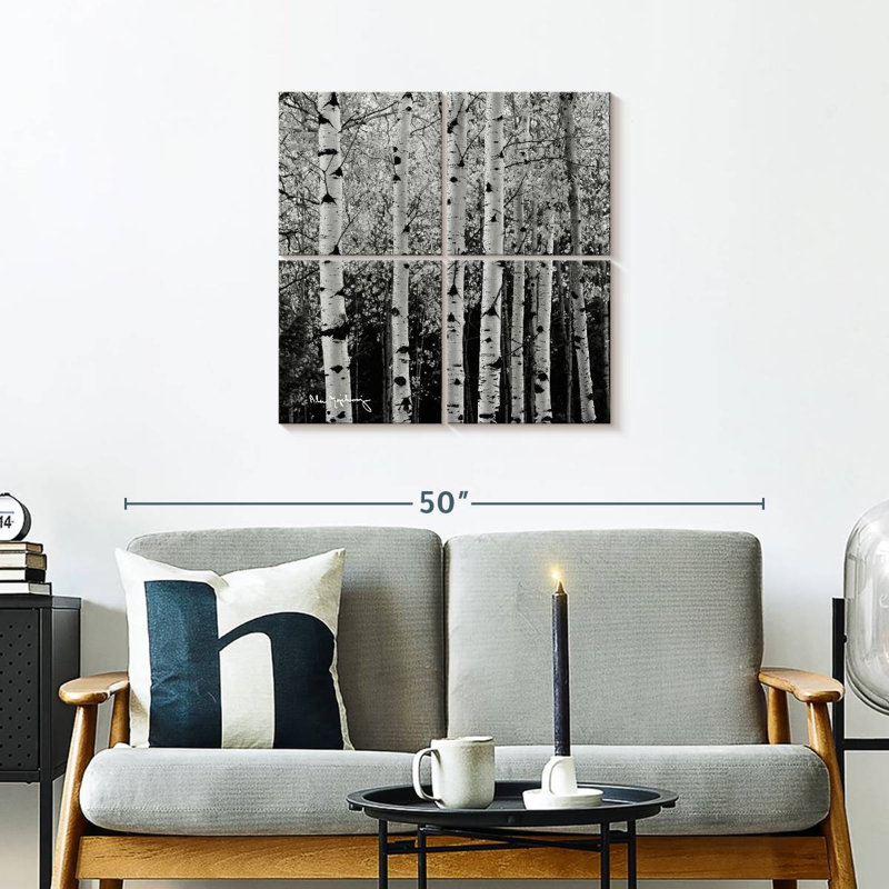 Alvord Aspens en automne BW, H 26 po x l 26 po