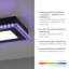 Sharen LED Flush Mount