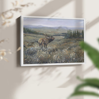 Faune de l'Ouest I - reproduction encadrée - réaménageable