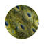 Peacock Round Lacquer Placemat
