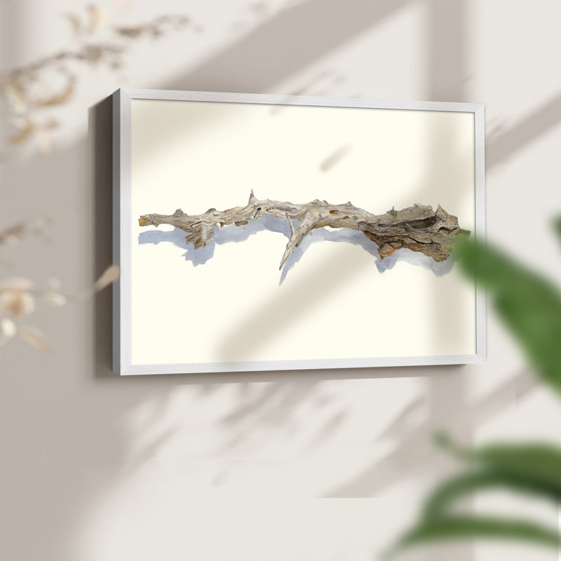 «Driftwood Study I», reproduction encadrée, H 22 po x l 28 po, Blanc