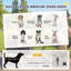 Chariot de transport pour animaux de compagnie-437399121