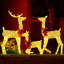 Ensemble de 3 rennes festifs dorés et illuminés, décor de Noël en plein air avec 200 Leds et piquets