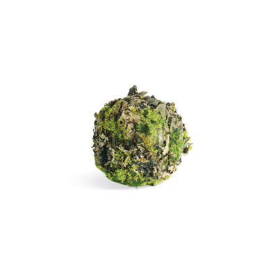 Pham MOSSY LICHEN ORBS 3.5" Set of 6