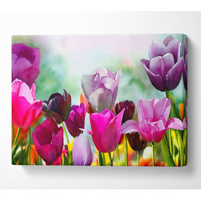Multiple Coloured Tulips - Wrapped Canvas Print