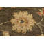 Tapis Roika