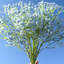 Arrangement floral Baby's Breath-1070477551-1070477539