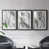 Black Framed