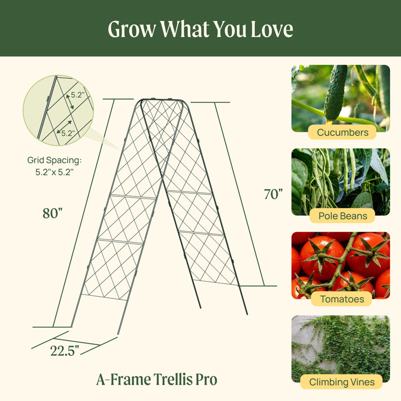 80" H A-Frame Metal Garden Trellis Pro, 1