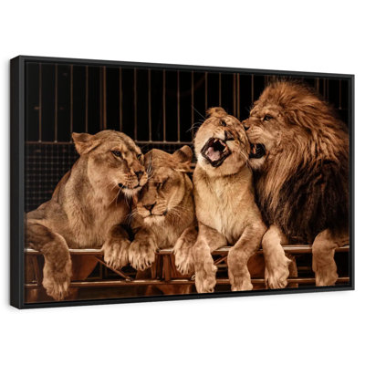 Brampt Pride Of Lions