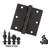 3.5" H x 3.5" W Solid Brass Ball Bearing Single Butt Door Hinge-65781470