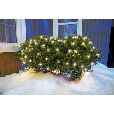 Holiday Lighting