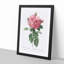 Giant French Rose in Pink by Pierre-Joseph Redoute - Picture Frame Painting Print on MDF-55608585-55608583