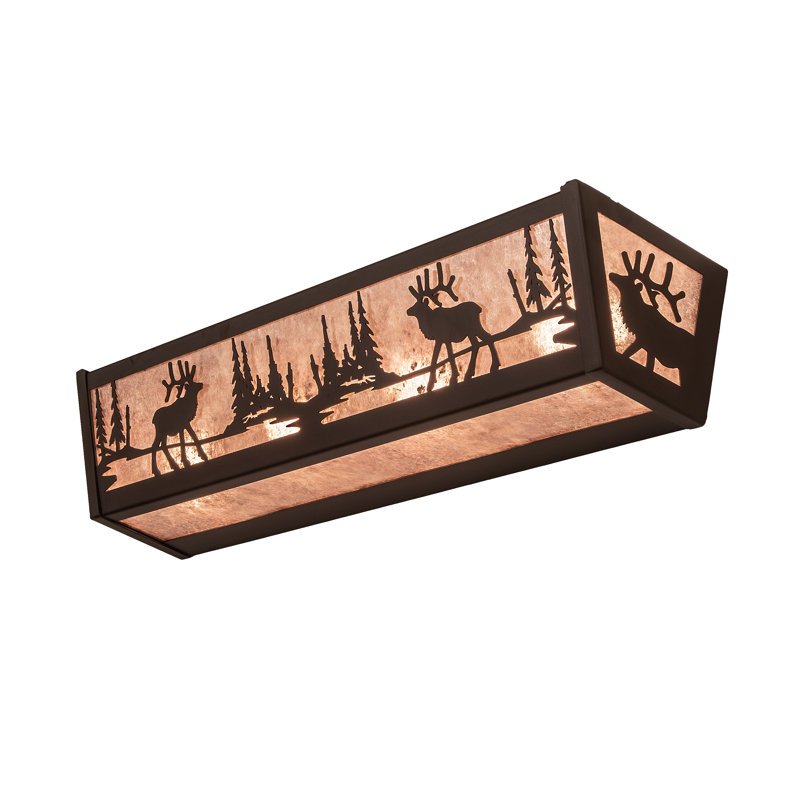 4 - Light Vanity Light, Silver, Oil Rubbed Bronze