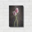 «Spring Tulips V» par Debra Van Swearingen-1634549750