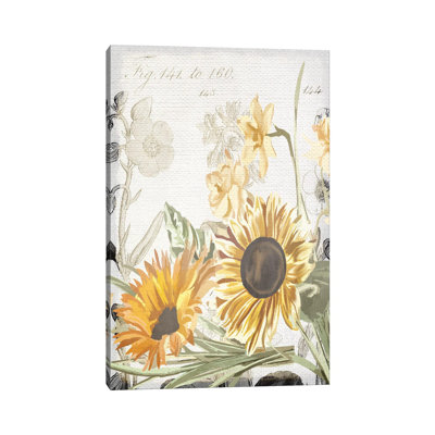 Wildflower Guide II by Kimberly Allen - Wrapped Canvas Painting