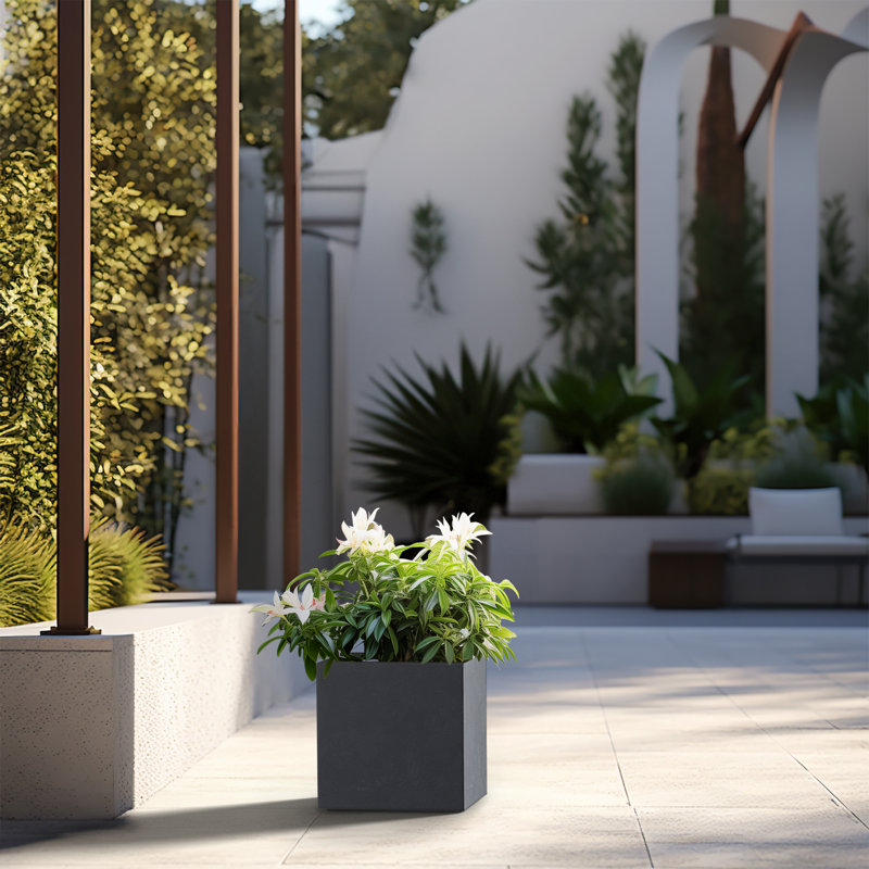 Boîte à fleurs en béton Redegonda, Gris granite, H 12 po x l 12 po x P 12 po