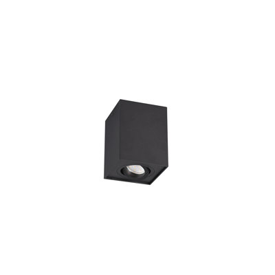 Dias 1-Light Flush Mount